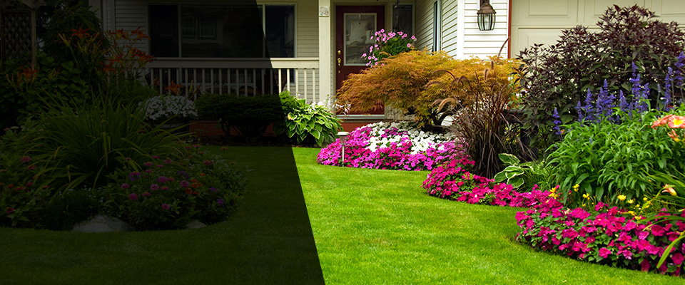 Alice Landscapers
